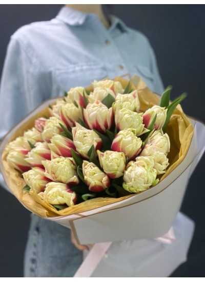 Пионовидный тюльпан (Ассортимент цвета)